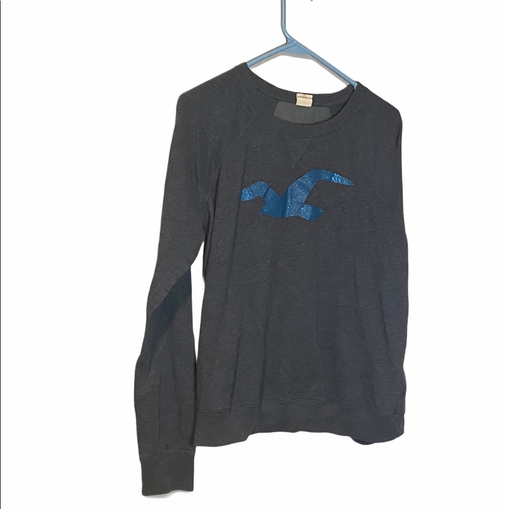 Hollister long sleeve with mesh back.